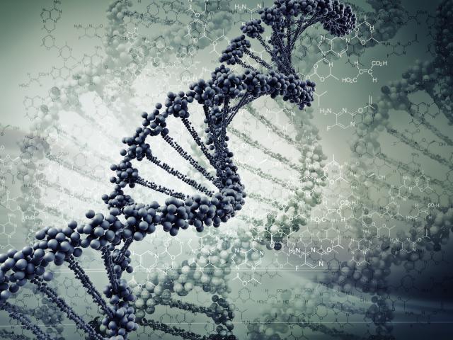 Otkriven gen koji uzrokuje ubrzano starenje kod dece